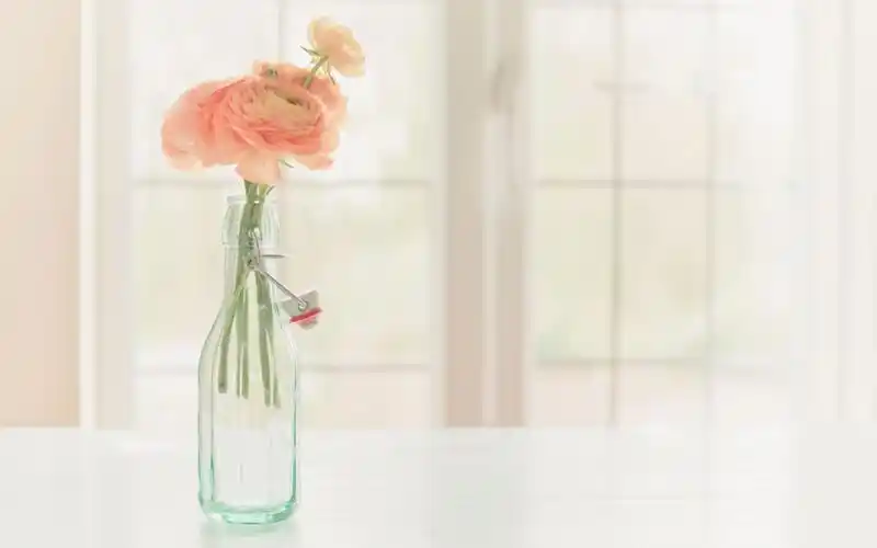 小清新文艺风景静物高清桌面壁纸-风格壁纸-手机壁纸下载-美桌网