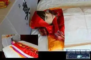 火葬场火化机的分类与类别