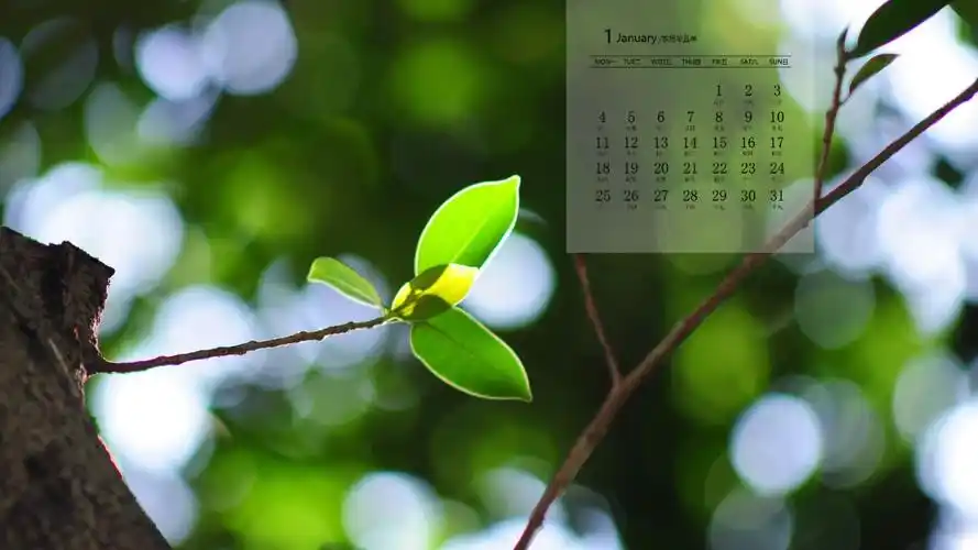 首页 桌面壁纸 日历壁纸 2021年1月清新绿色护眼高清日历壁纸上一张
