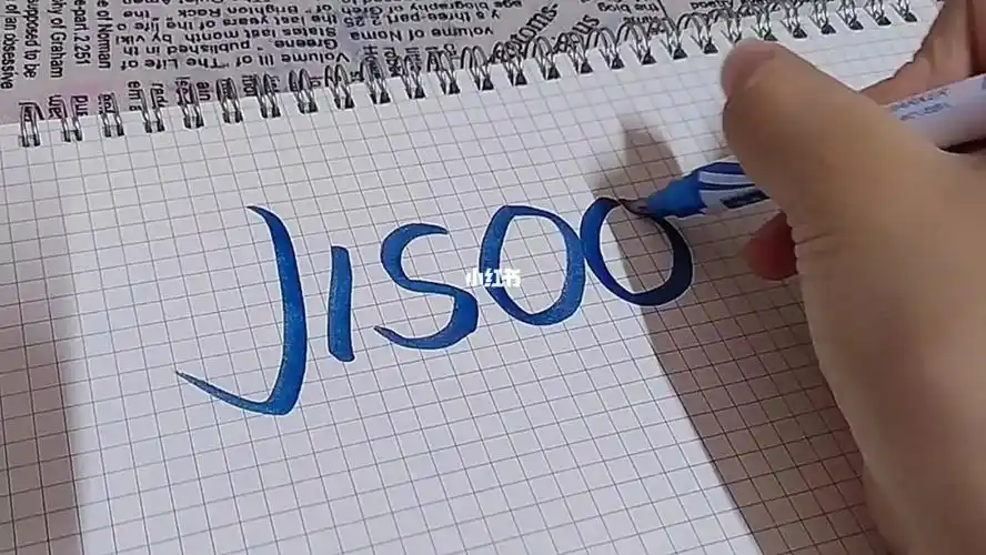 金智秀仿签名jisoo这个签名有点好玩