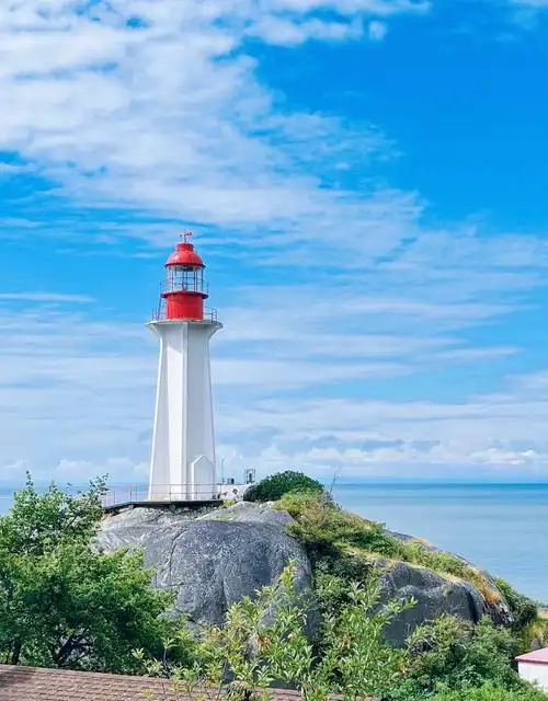 1080_1383竖版 竖屏