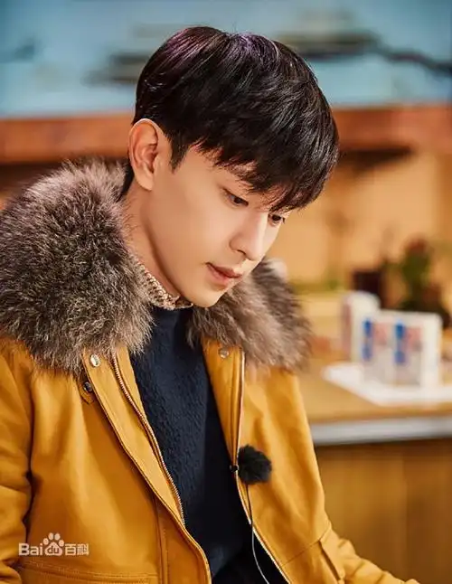 邓伦偷逃个人所得税被追缴并处罚共计106亿元