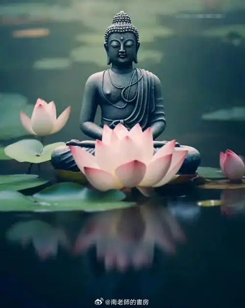 佛教学佛修行##学佛修行##解脱