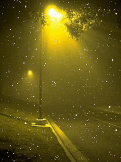 238_317gif 动态图 动图