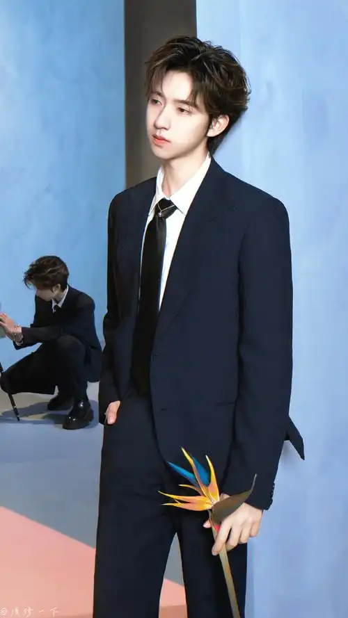 贺峻霖北影节主持