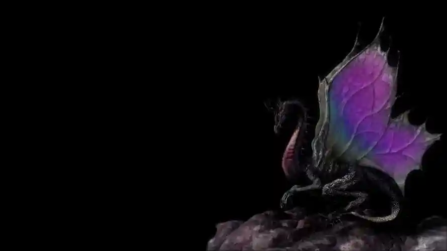 黑色主题壁纸合集1920x108060p黑色主题壁纸合集1920x108060p