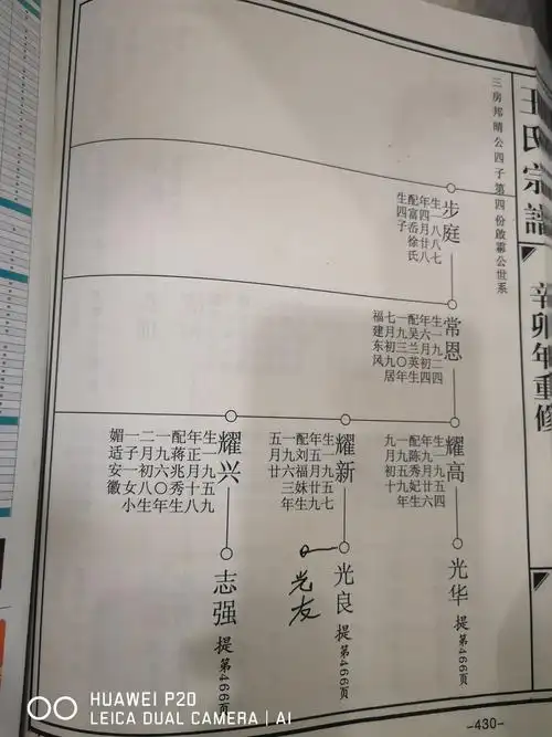 王氏家族,族谱一览表.