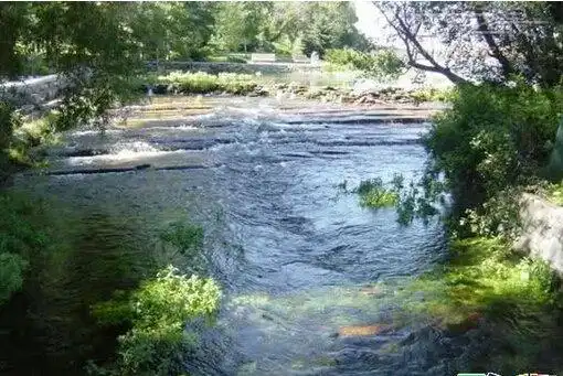 世界上最短的河流