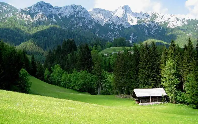 清新绿色风景,高清图片,电脑桌面-壁纸族