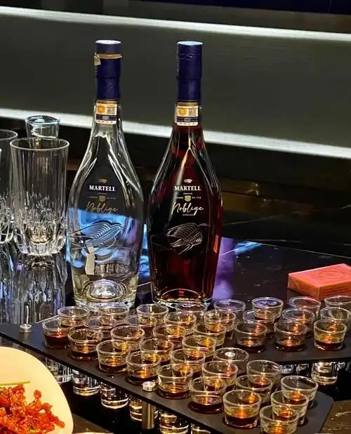 「图」武汉光谷夜场招聘 遇见美好遇见你-武汉洪山ktv酒水促销员-起点