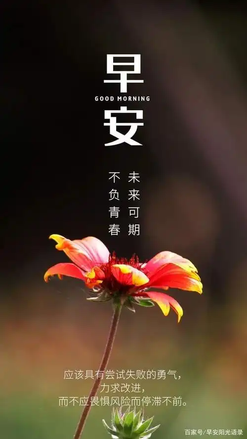 早安阳光心语:勇气是青年人最漂亮的装饰