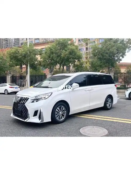 新到20年gl8蒙娜丽莎一手车原版原漆38