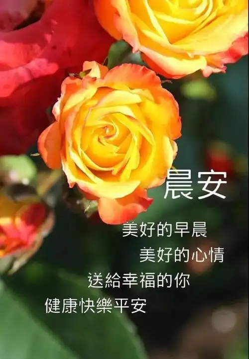 12月28日最新早上好动态图片大全早安问候语动态表情包