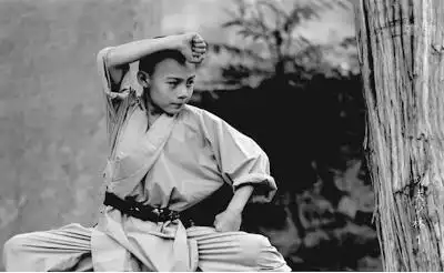 纪录片《功夫少林》在京首映