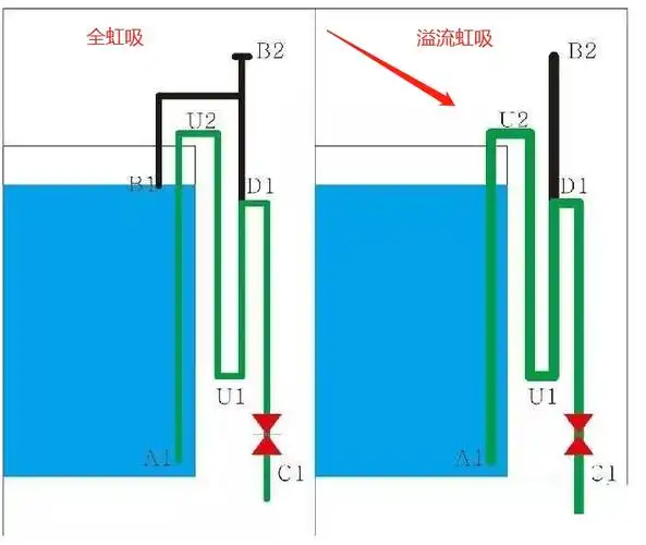 小缸换大缸,diy溢流虹吸和滴流底滤 - 龙缸器材 - 龙鱼之巅