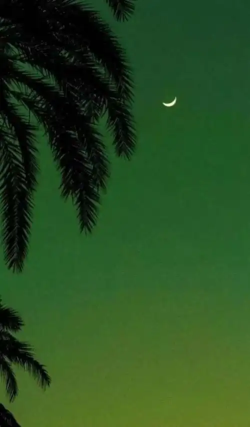 绿色,彩虹,可爱,意境的背景图_唯美图片_我要个性网