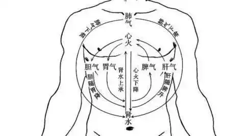 在《脾胃论》中指出:"升已而降,降已而升,如环无端,运化万物,其实一气