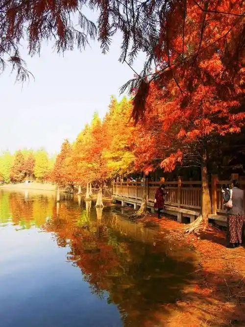 实拍,德阳东湖公园风景