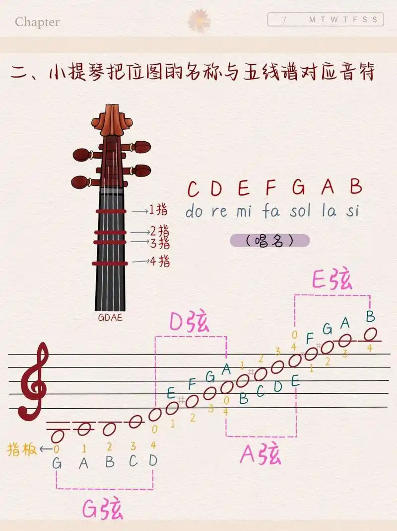 本期笔记沛沛老师用新奇的乐器教学带大家进行小提琴学习,希望