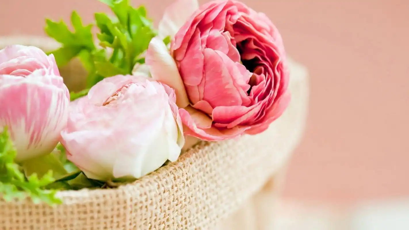 小清新唯美意境高清桌面壁纸第八辑