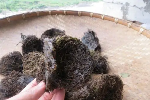 燕窝野生云南怒江高黎贡山无公害500g缺货