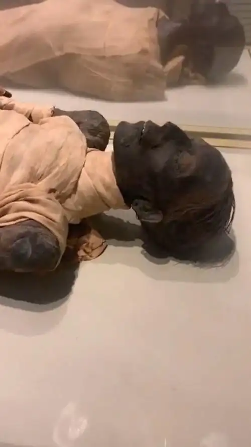 埃及木乃伊实拍,保存的真好,百年前肯定是个大美女!