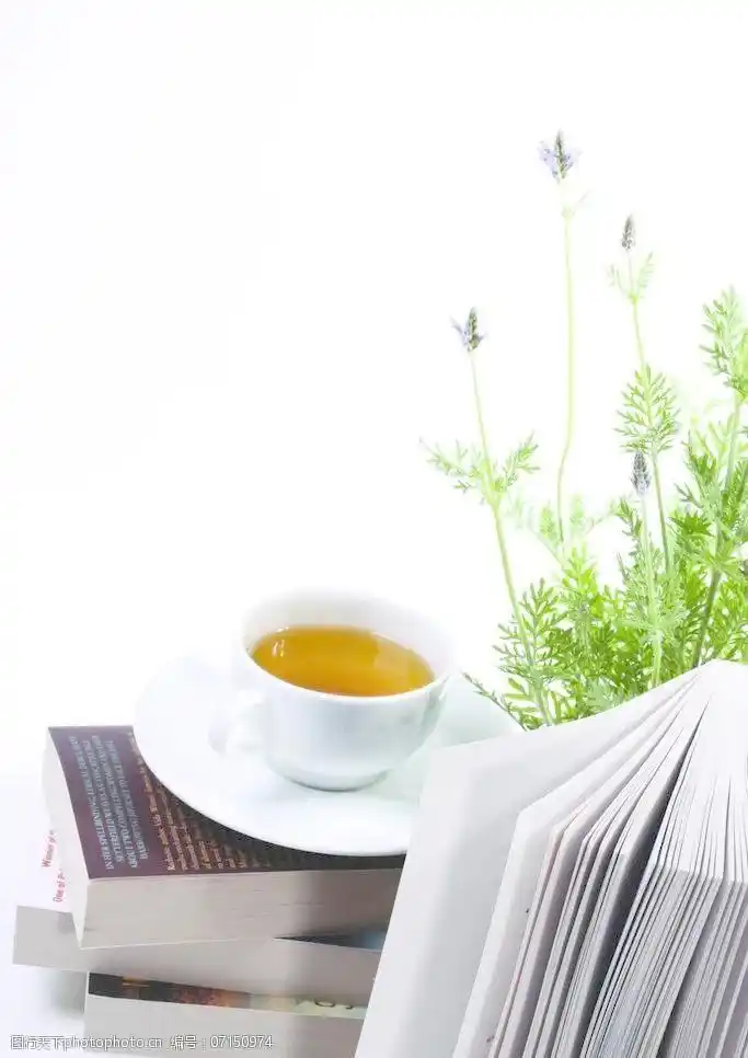 植物书茶图片