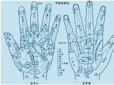 支招:从手指看你的健康