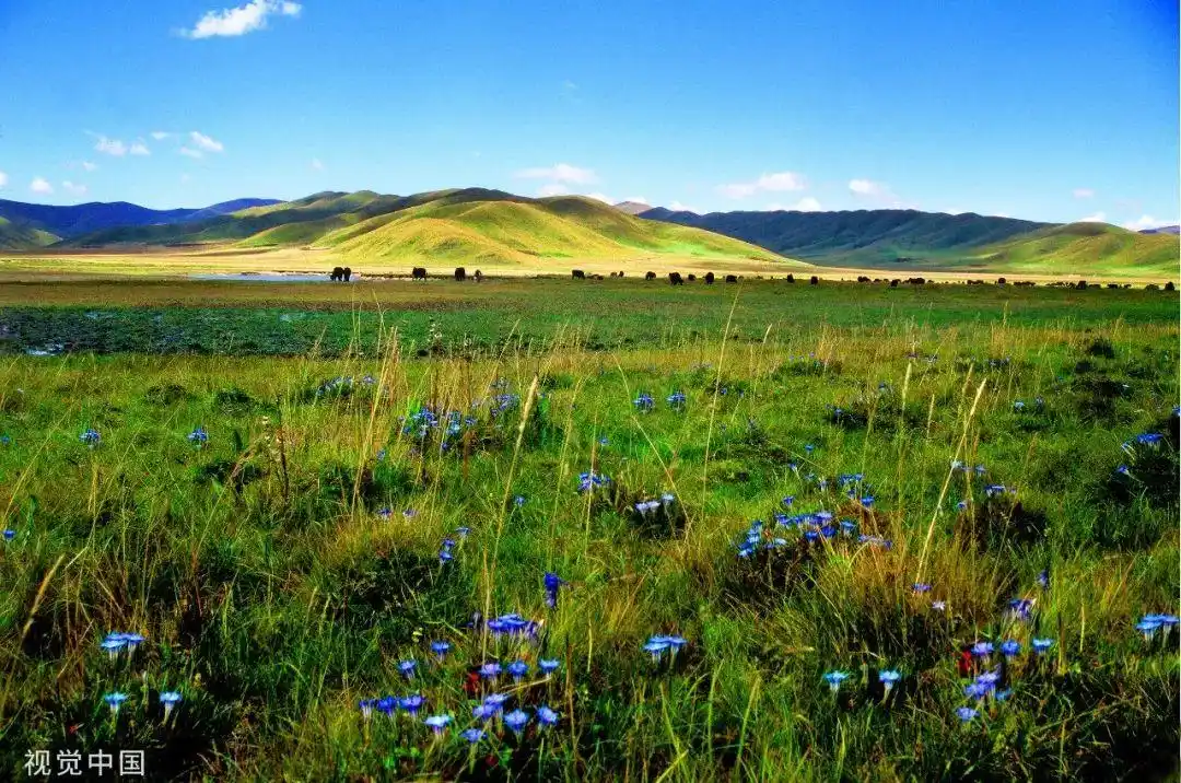 四川发布第二批红色旅游重点线路遂宁上榜安排起来