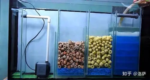 鱼缸侧滤(背滤)好用吗?优缺点是什么?