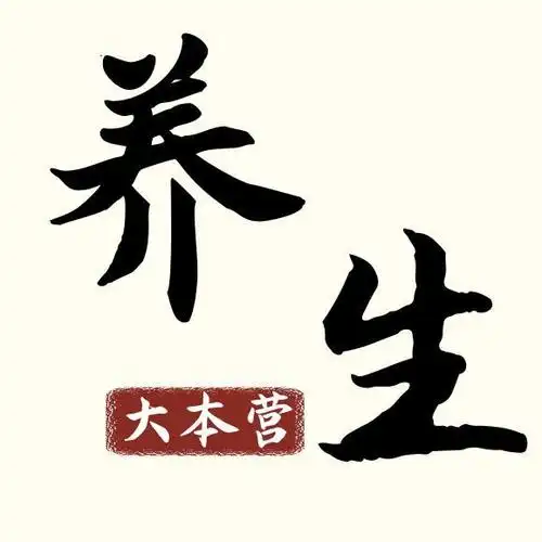 养生大本营头像