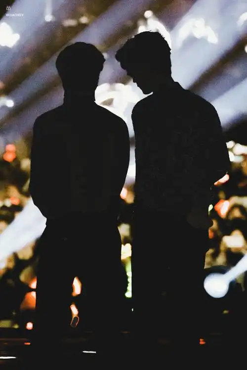 【博君一肖&肖战&王一博】20191228腾讯星光大赏