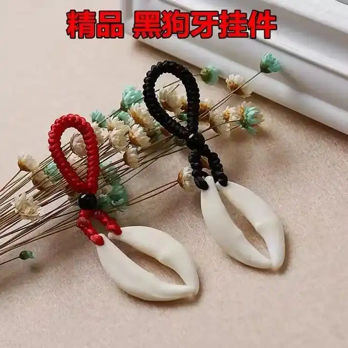 黑狗牙,黑藏獒牙挂件,你喜欢吗?想要的私聊. - 抖音