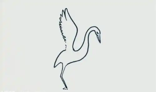 飞行白鹭简笔画怎么画彩色可爱白鹭简笔画绘画步骤