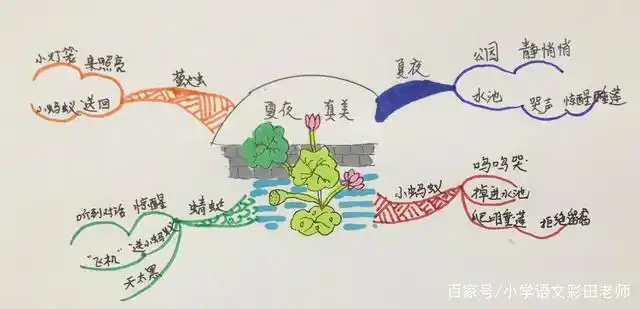 思维导图带你一起读——《夏夜多美》(一年级下册)