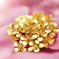 中国黄金珠宝头像_微信头像图片大全