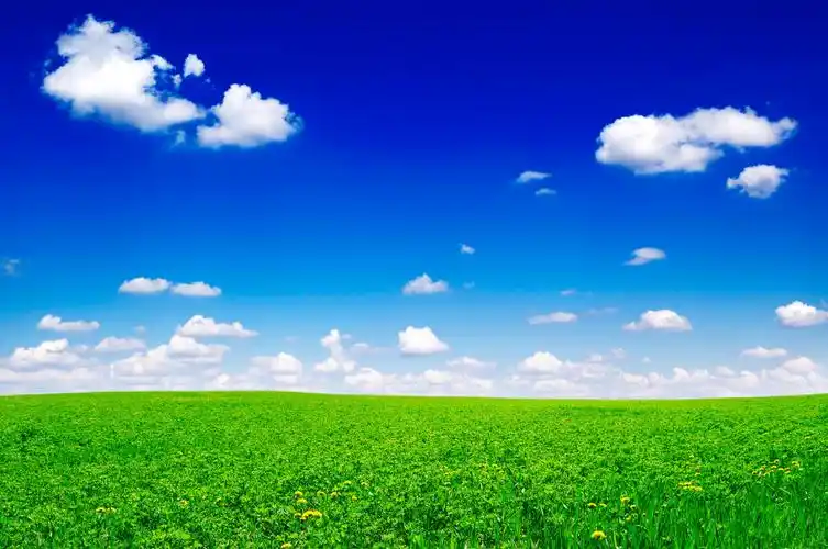 绿色绿地草坪草地草皮海报背景图蓝天白云草地背景反邪教展板反邪教标