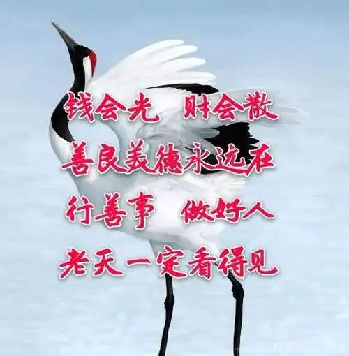 【首发】感悟人生;做人善良,心安一生!77150596