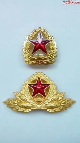 朋友订单【其他勿拍】*新款【亚光】大帽徽*部门帽徽