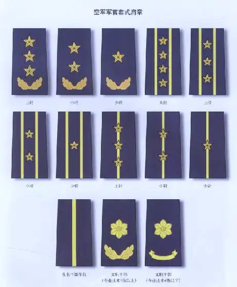1955年刚授衔时空军领章分军衔领章和军兵种勤务符号领章两种,士兵