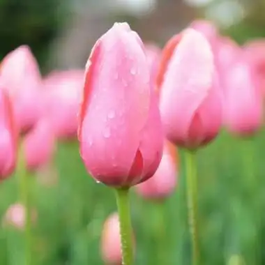 招财图片头像 好运