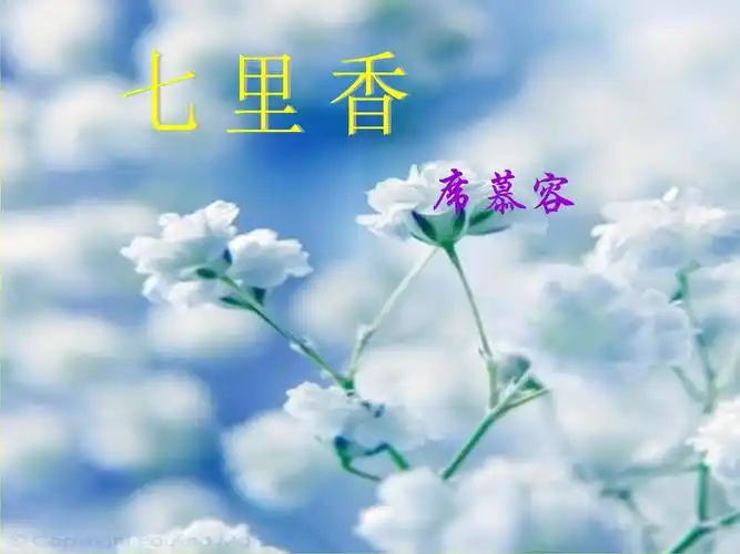 席慕容《七里香》赏析.ppt