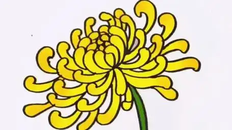 菊花简笔画