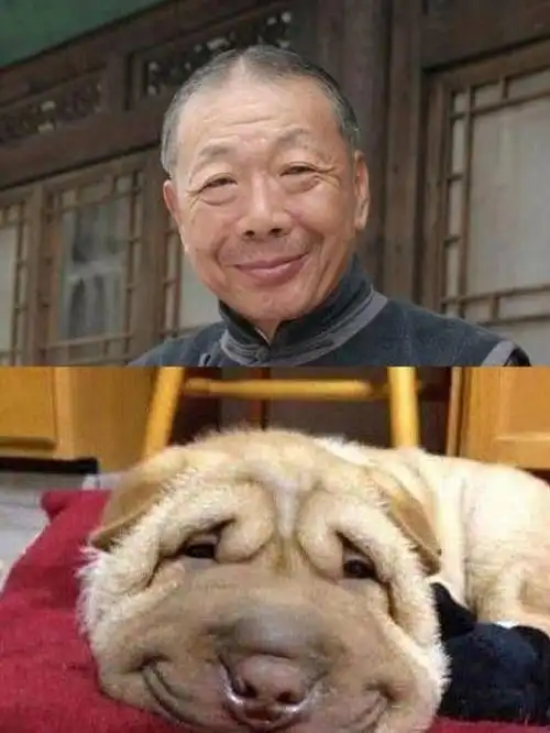 尴尬,和狗狗撞脸的明星,看到杰伦我笑了