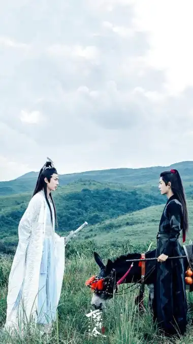 陈情令 忘羡 魏无羡 蓝忘机 蓝湛 魏婴 含光君 肖战 王一博 博君一肖