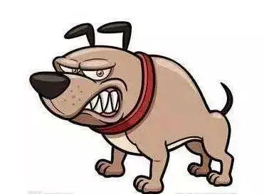 赣州街头发生多起疯狗咬人事件,治理刻不容缓,你有啥好点子?