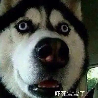 课文里面有一个历史人物叫鲍叔牙……然后有人起来读课文读成了龅牙叔