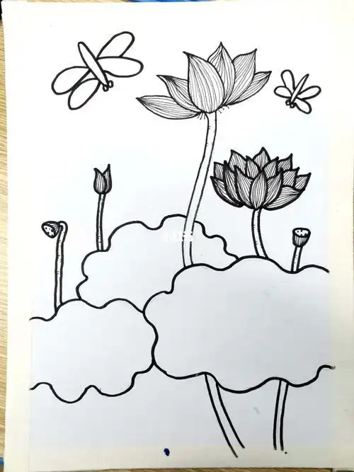 怎么画荷花简单又好看简单又好看的荷花画