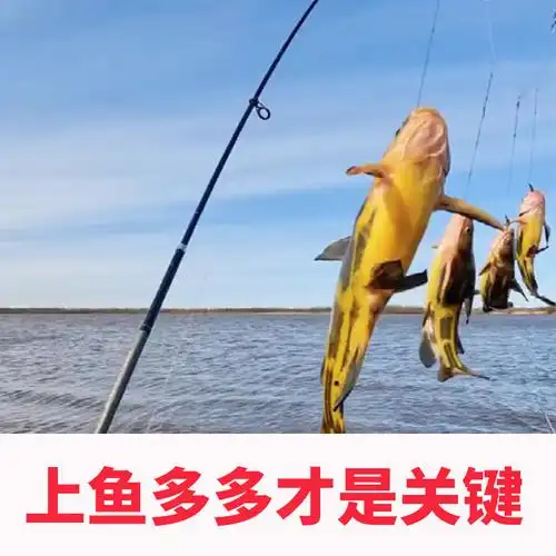 钓鱼串钩钓组线组鲫鱼抛竿缠绕鲤鱼昂刺鱼黄鱼钩
