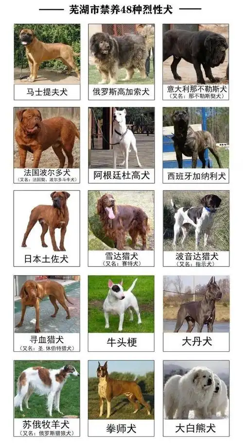 芜湖市公布48种禁养犬